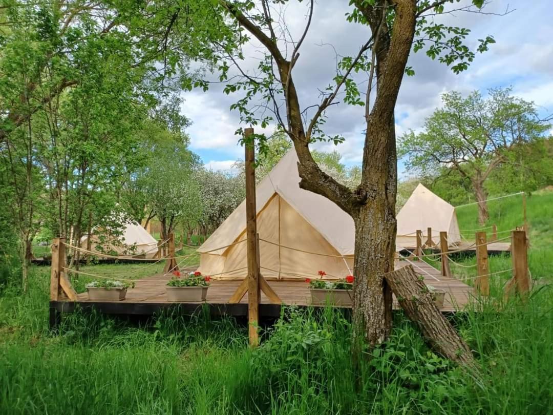 My Lake Glamping Dalnic Eksteriør bilde