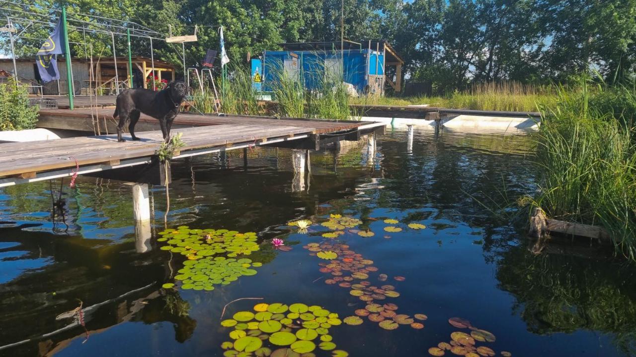 My Lake Glamping Dalnic Eksteriør bilde